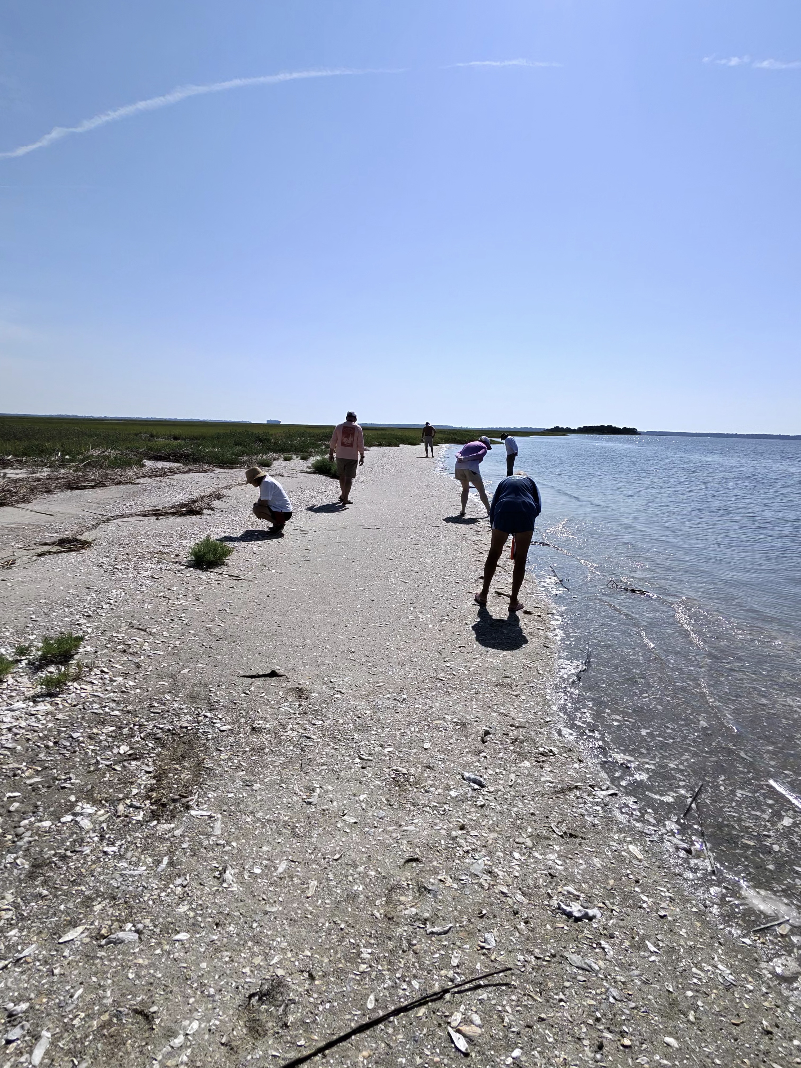 Shark Teeth, Dinghies & a Day on the Marsh, marina outing photograph 4